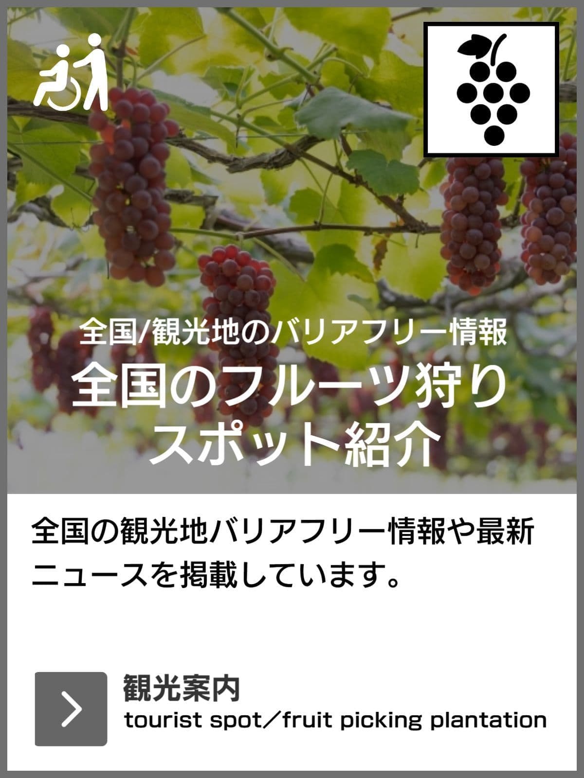 全国バリアフリー旅行情報センター