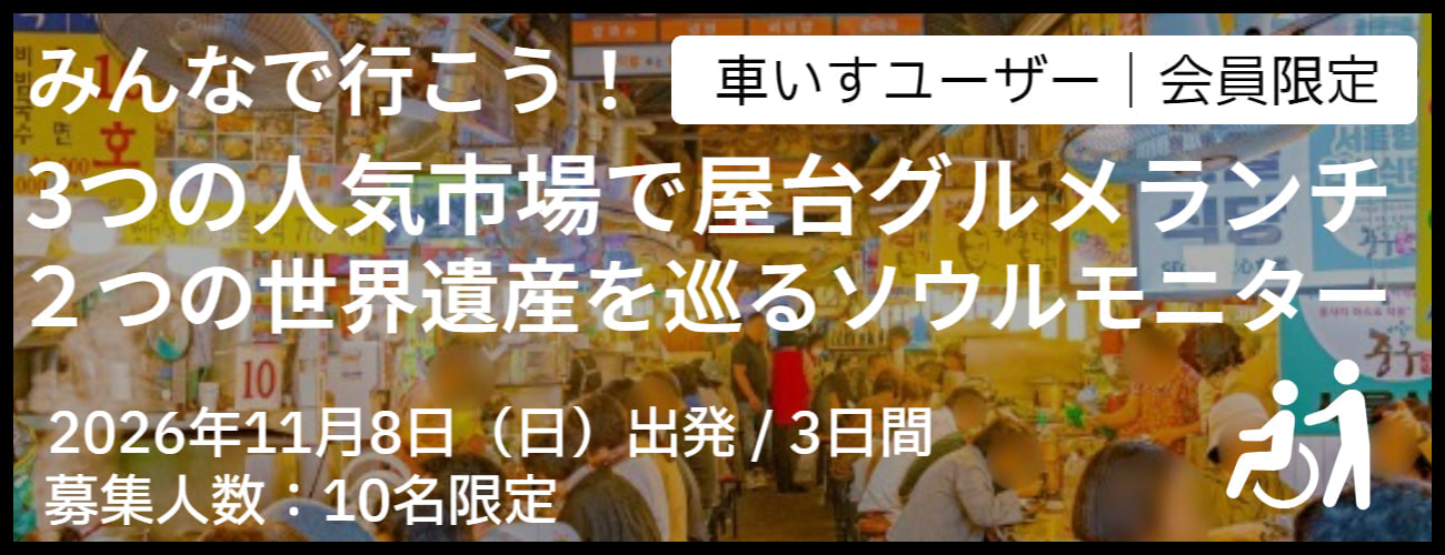 車いすで行く韓国ソウル
